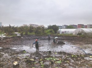 偃师河道鱼塘清淤